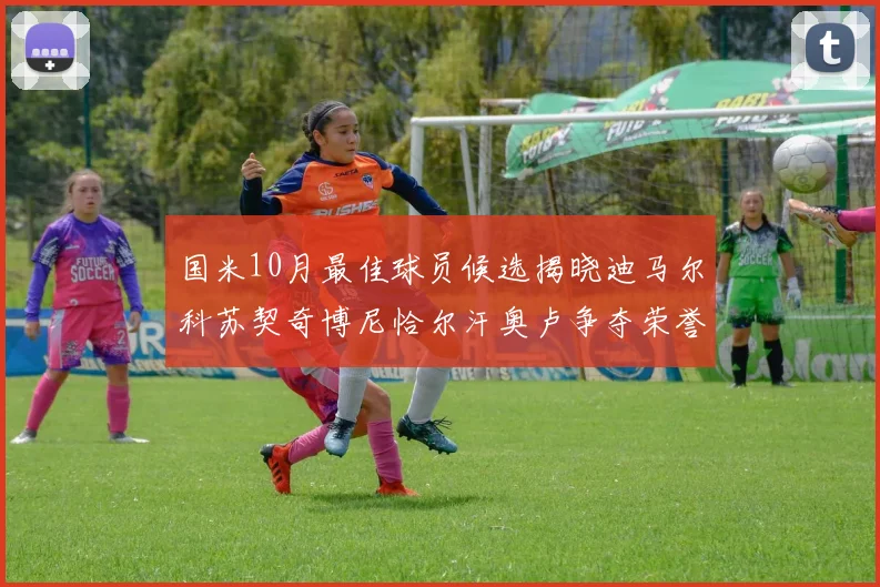 国米10月最佳球员候选揭晓迪马尔科苏契奇博尼恰尔汗奥卢争夺荣誉