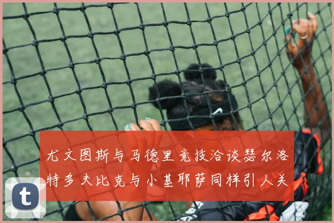 尤文图斯与马德里竞技洽谈瑟尔洛特多夫比克与小基耶萨同样引人关注