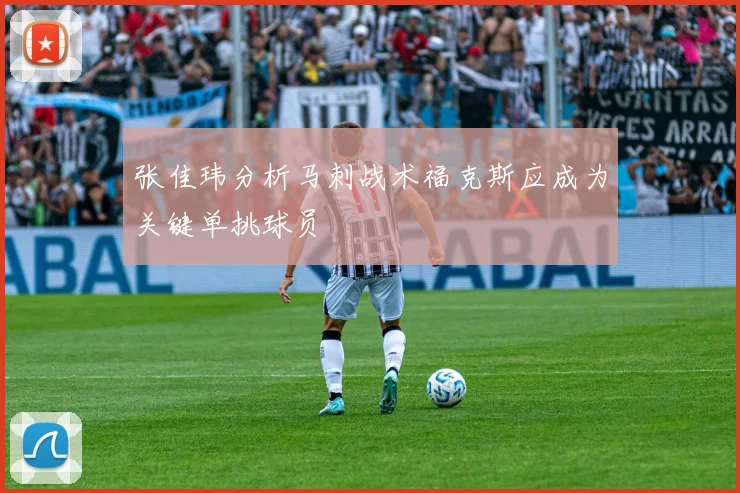 张佳玮分析马刺战术福克斯应成为关键单挑球员