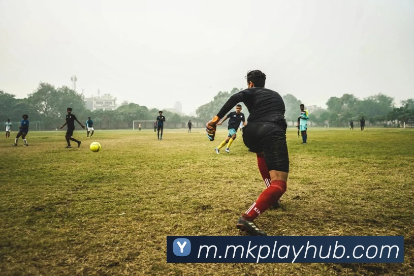 MK体育服务体系